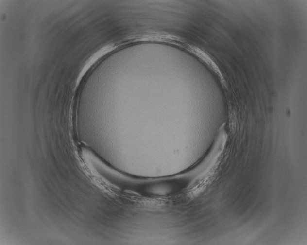 X0000081371138200702020158