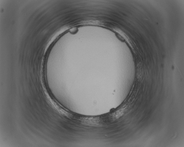 X0000081371139200702020158