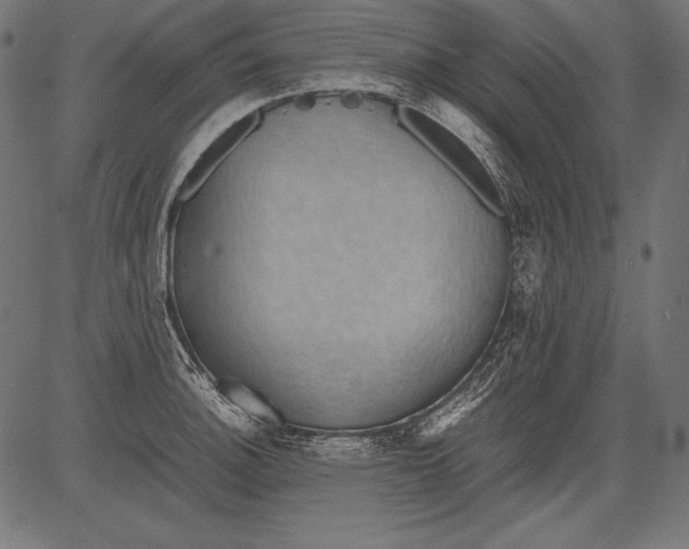 X0000081371140200702020158