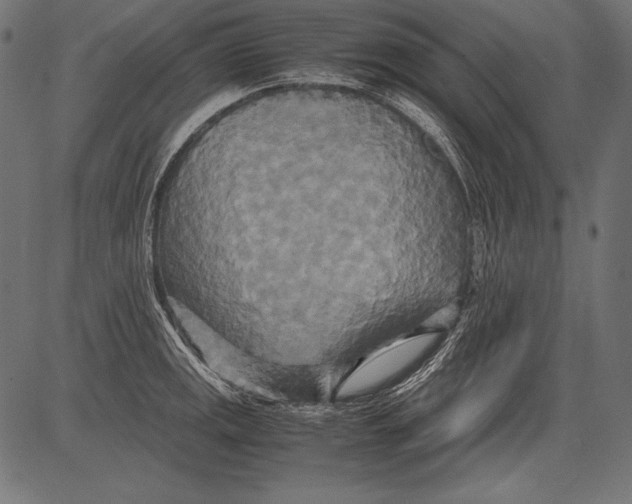 X0000081371141200702020159