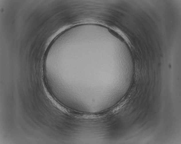 X0000081371142200702020159