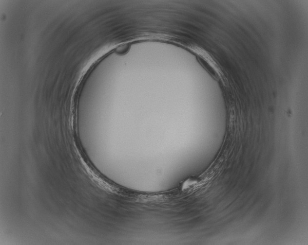 X0000081371143200702020159