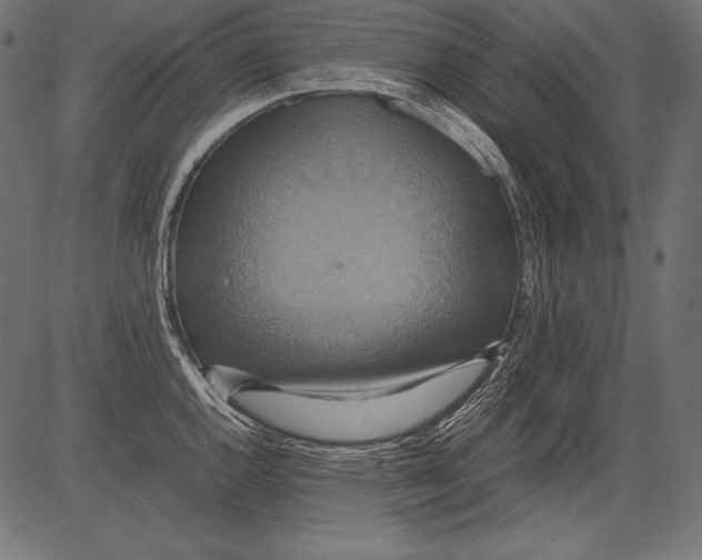 X0000081371144200702020159