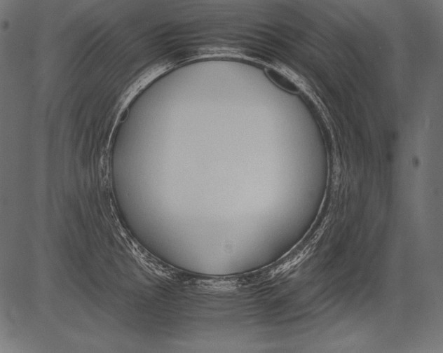 X0000081371145200702020159