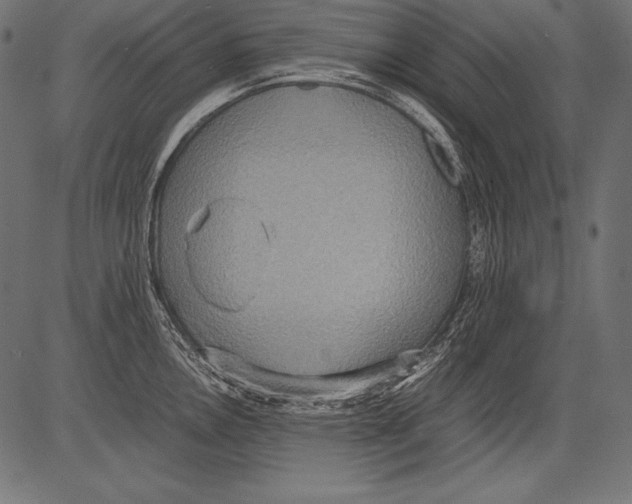 X0000081371146200702020159