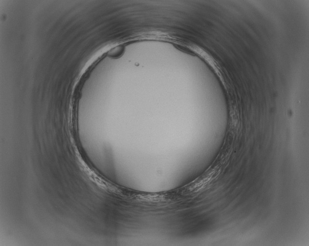 X0000081371147200702020159