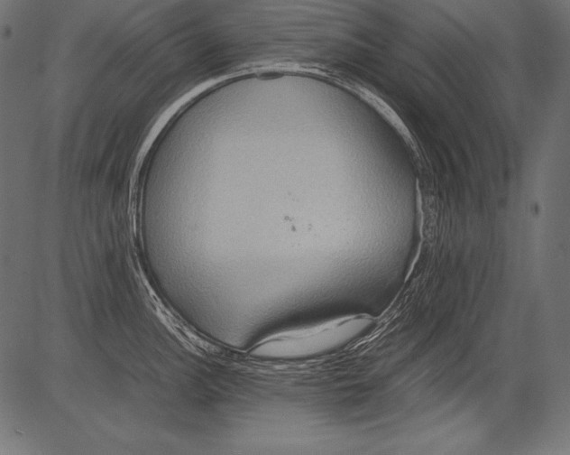 X0000081371148200702020159