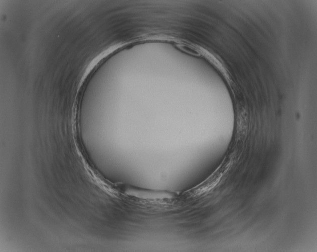 X0000081371149200702020159