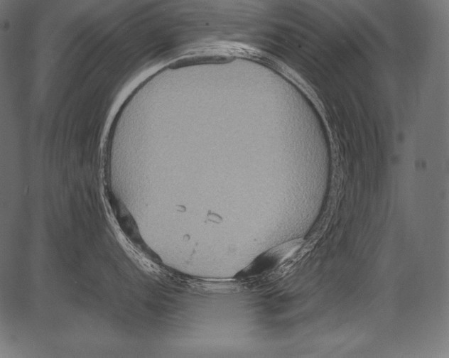 X0000081371152200702020159