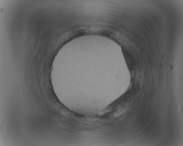 X0000081371153200702020158