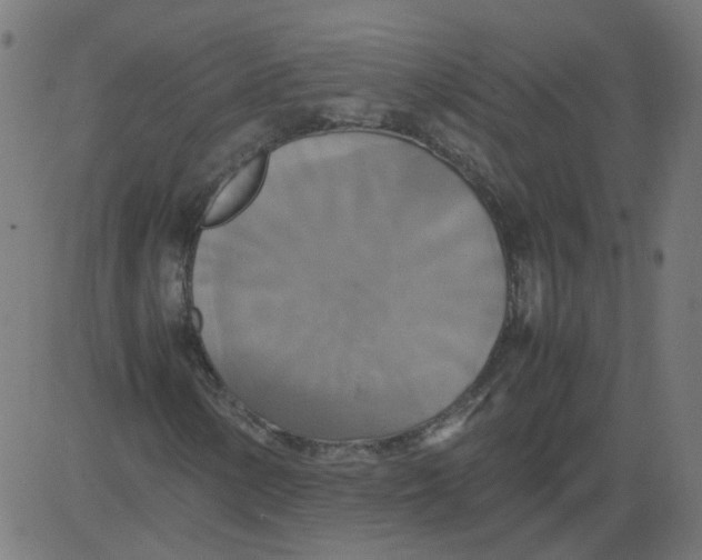 X0000081371154200702020158