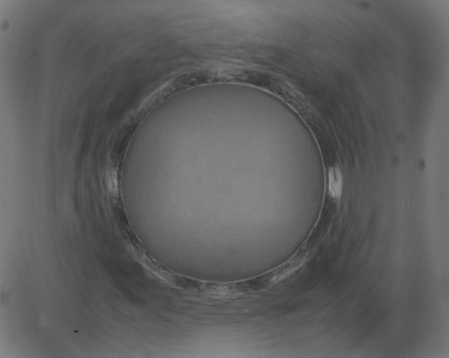 X0000081371155200702020158