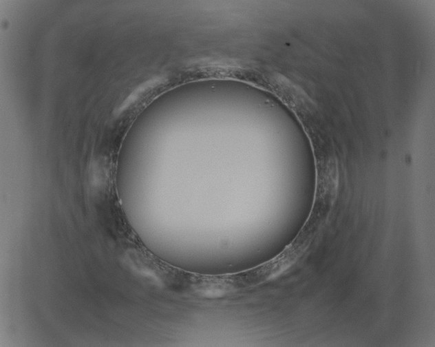 X0000081371157200702020158