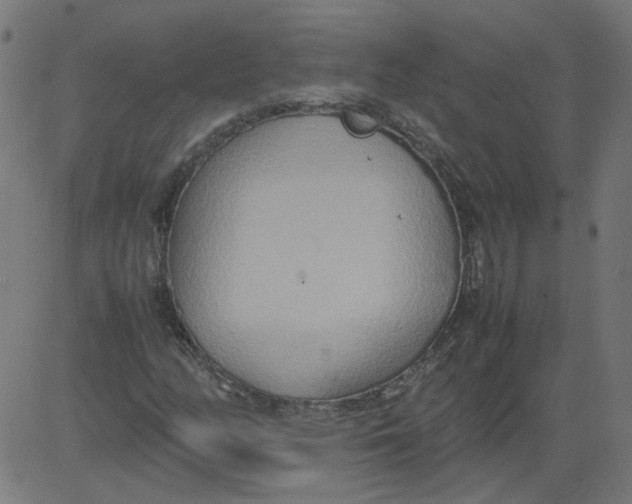 X0000081371158200702020158