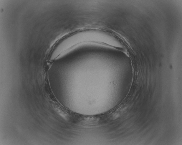 X0000081371160200702020158