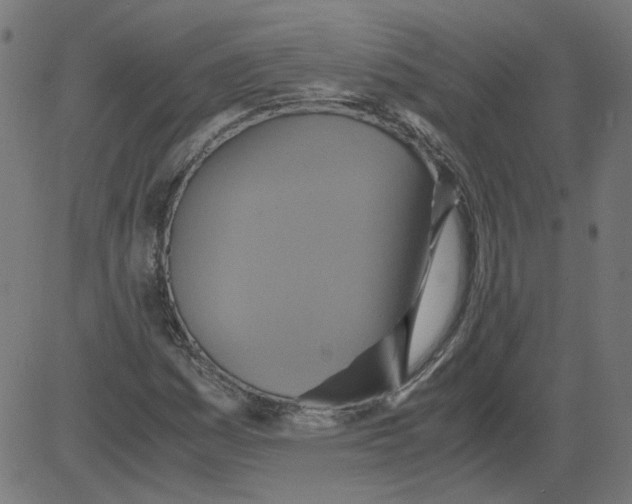 X0000081371161200702020158