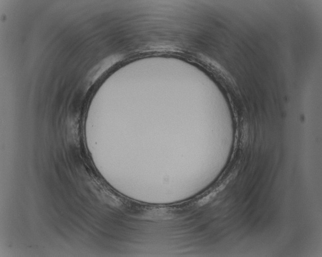 X0000081371162200702020158