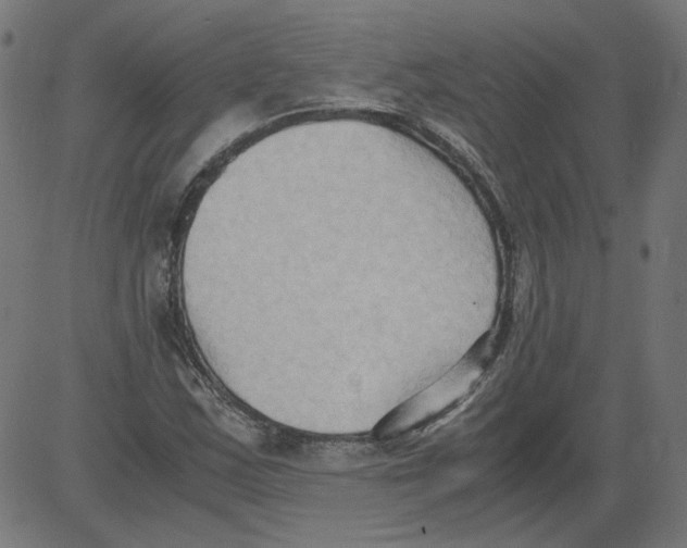 X0000081371163200702020158