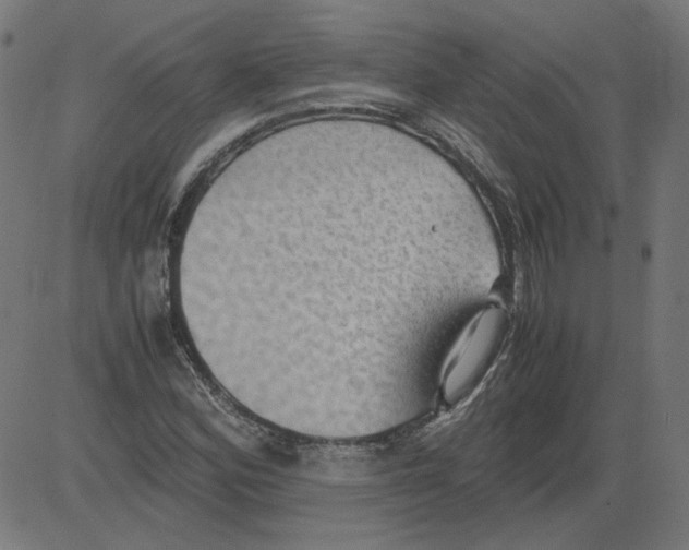 X0000081371164200702020158