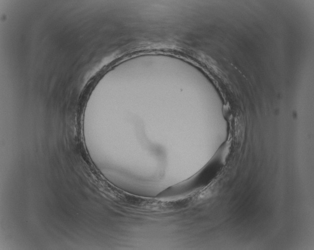 X0000081371165200702020158