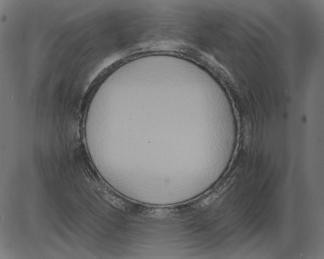 X0000081371166200702020158