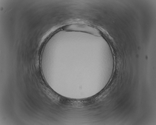 X0000081371167200702020158