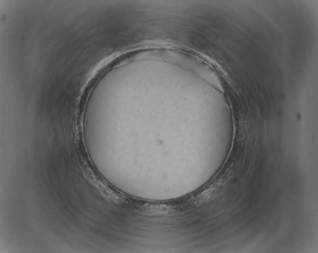 X0000081371168200702020158