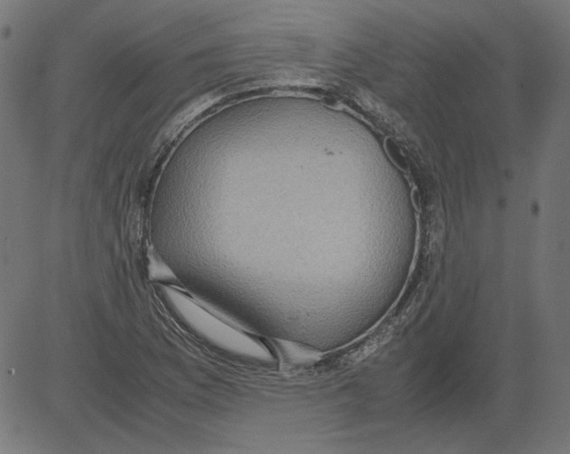 X0000081371169200702020158