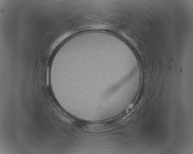 X0000081371171200702020158