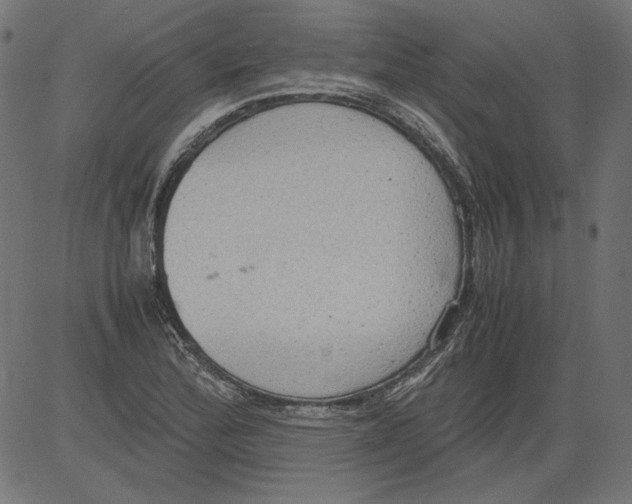 X0000081371172200702020158