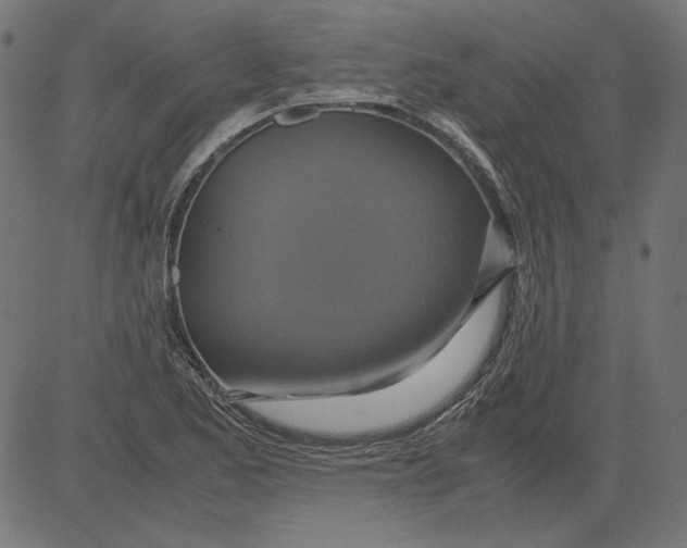 X0000081371173200702020158