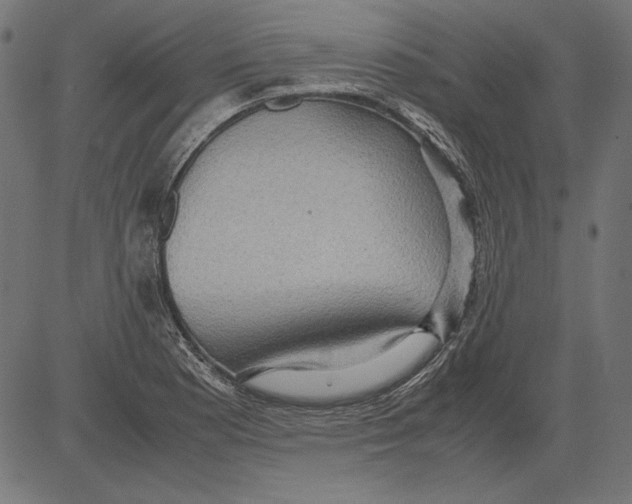 X0000081371177200702020158