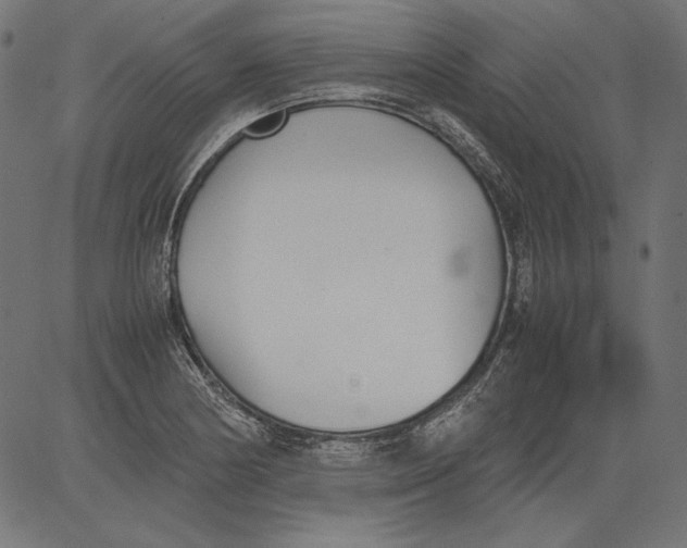 X0000081371178200702020157