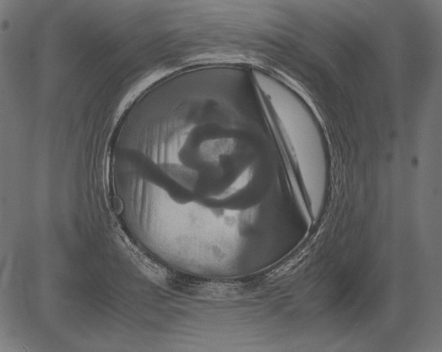 X0000081371179200702020157