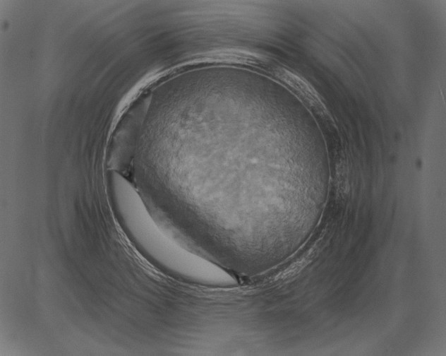 X0000081371180200702020157