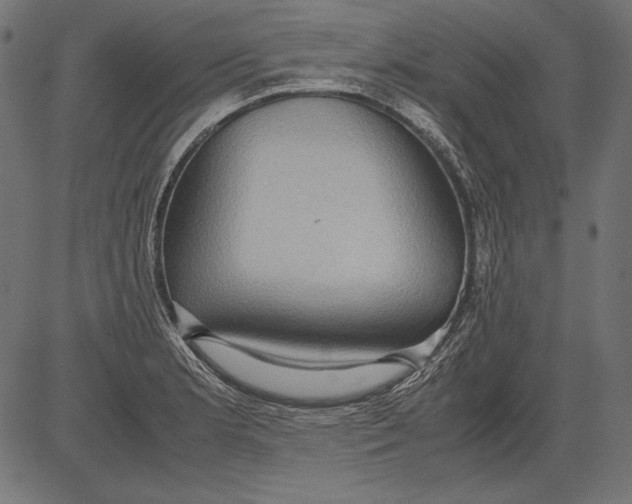 X0000081371181200702020157