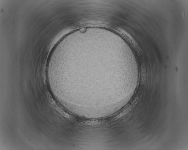 X0000081371182200702020157