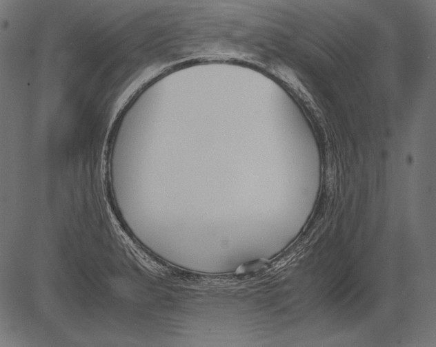 X0000081371183200702020157