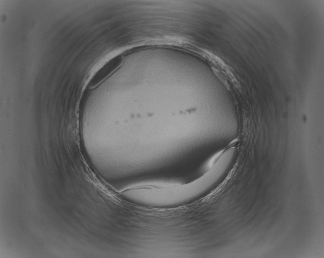 X0000081371184200702020157