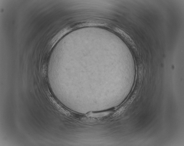 X0000081371185200702020157