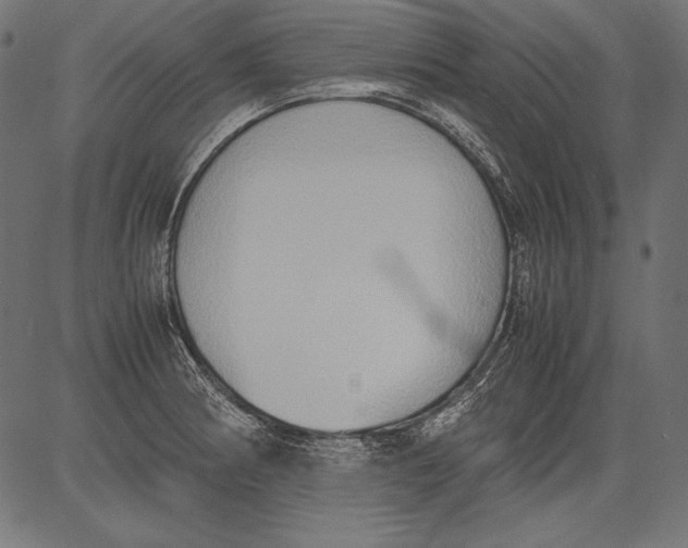 X0000081371186200702020157