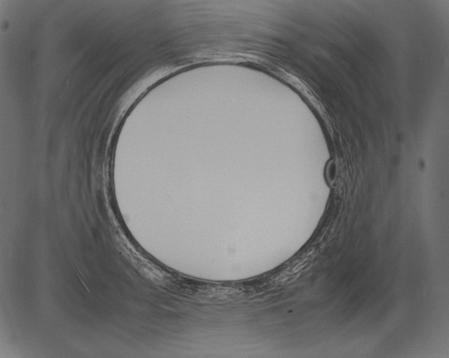 X0000081371187200702020157