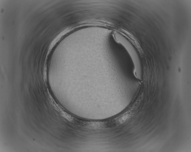 X0000081371188200702020157