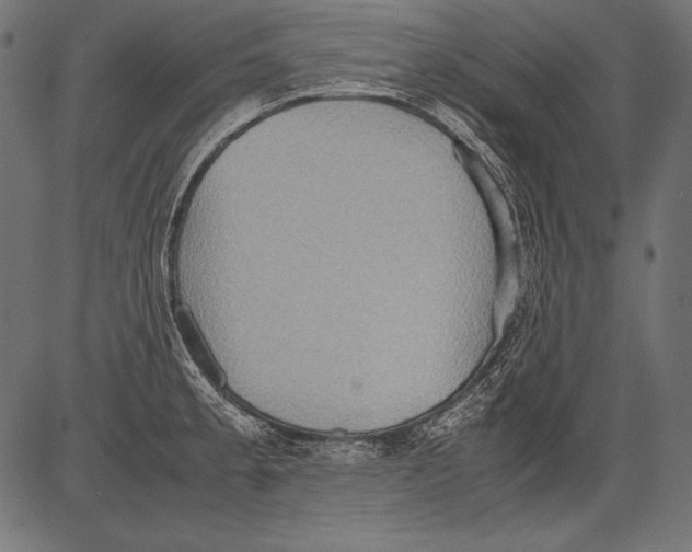 X0000081371189200702020157