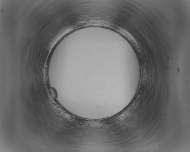 X0000081371190200702020157