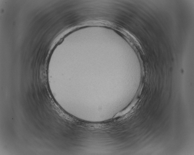 X0000081371192200702020157