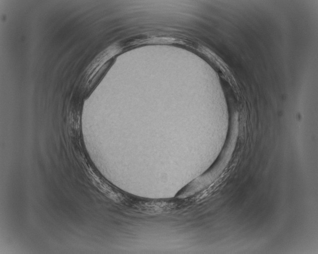 X0000081371193200702020157