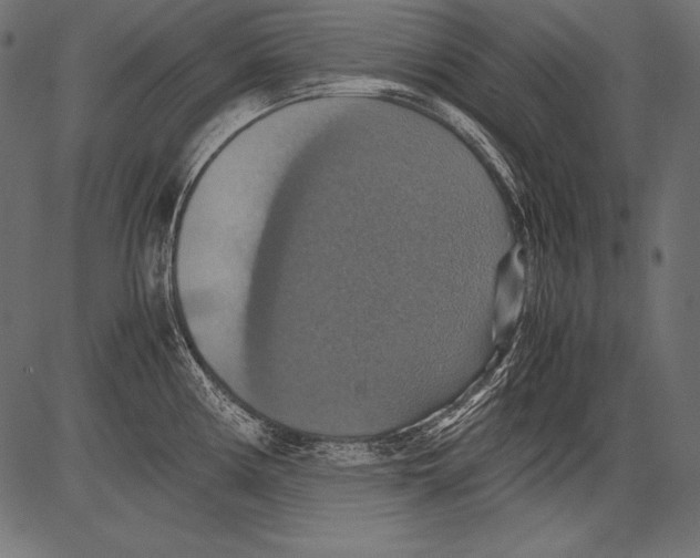 X0000081371194200702020157