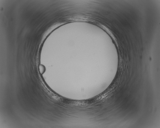 X0000081371195200702020157