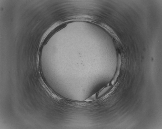 X0000081371196200702020157